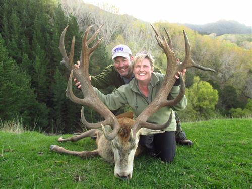 Kelly's magnificent red stag